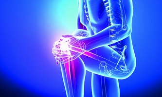 مدیر گروه : دکتر ابوالفضل باقری فرد